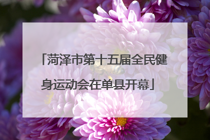 菏泽市第十五届全民健身运动会在单县开幕