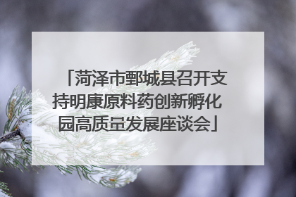 菏泽市鄄城县召开支持明康原料药创新孵化园高质量发展座谈会