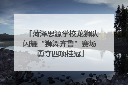 菏泽思源学校龙狮队闪耀“狮舞齐鲁”赛场 勇夺四项桂冠
