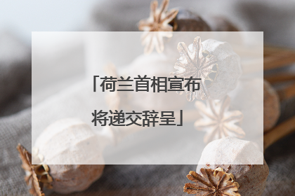 荷兰首相宣布将递交辞呈