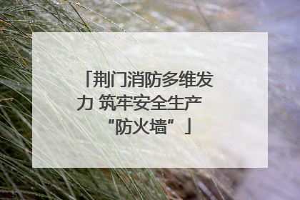 荆门消防多维发力 筑牢安全生产“防火墙”