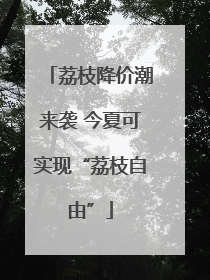 荔枝降价潮来袭 今夏可实现“荔枝自由”