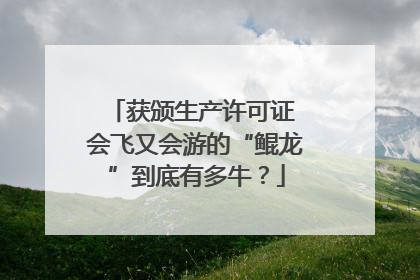 获颁生产许可证 会飞又会游的“鲲龙”到底有多牛？