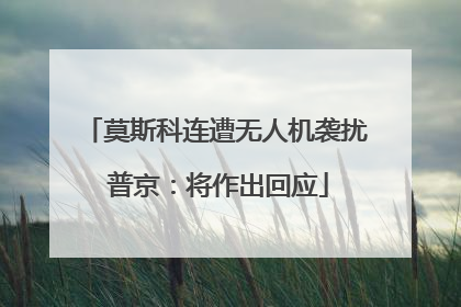 莫斯科连遭无人机袭扰 普京：将作出回应