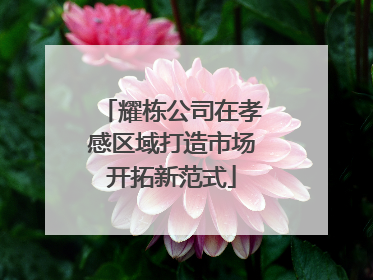 耀栋公司在孝感区域打造市场开拓新范式