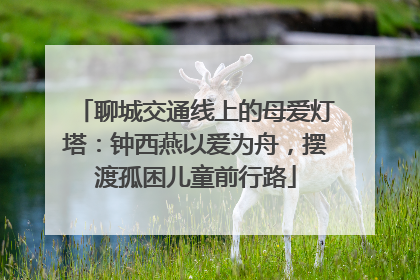 聊城交通线上的母爱灯塔：钟西燕以爱为舟，摆渡孤困儿童前行路