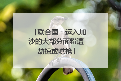联合国：运入加沙的大部分面粉遭劫掠或哄抢
