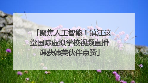 聚焦人工智能！镇江这堂国际虚拟学校视频直播课获韩美伙伴点赞