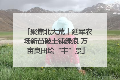 聚焦北大荒丨延军农场新苗破土铺绿浪 万亩良田绘“丰”景