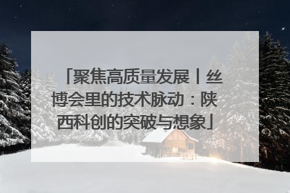 聚焦高质量发展丨丝博会里的技术脉动：陕西科创的突破与想象