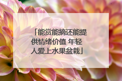 能赏能摘还能提供情绪价值 年轻人爱上水果盆栽