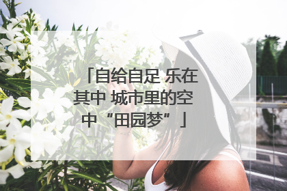 自给自足 乐在其中 城市里的空中“田园梦”