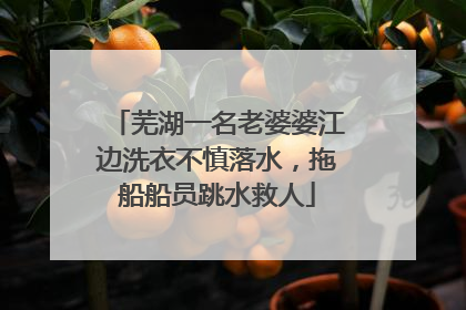 芜湖一名老婆婆江边洗衣不慎落水，拖船船员跳水救人