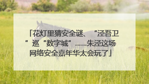 花灯里猜安全谜、“泾吾卫”巡“数字城”……朱泾这场网络安全嘉年华太会玩了