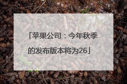 苹果公司：今年秋季的发布版本将为26