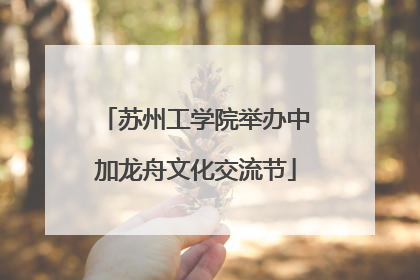 苏州工学院举办中加龙舟文化交流节