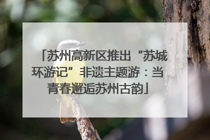 苏州高新区推出“苏城环游记”非遗主题游：当青春邂逅苏州古韵