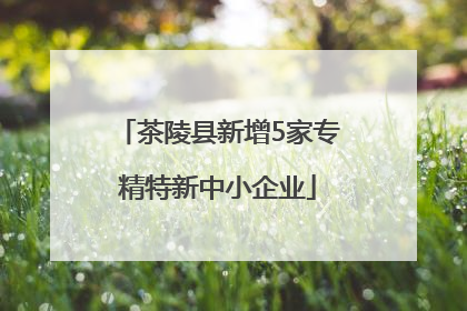 茶陵县新增5家专精特新中小企业