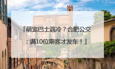 萌宠巴士遇冷？合肥公交：满10位乘客才发车！