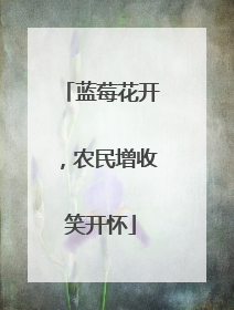 蓝莓花开，农民增收笑开怀