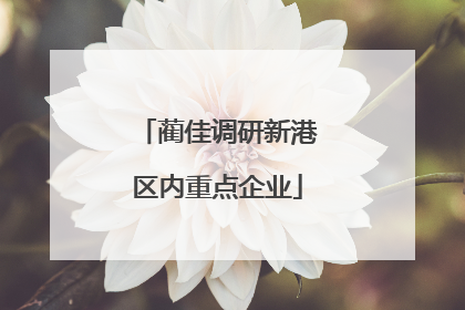蔺佳调研新港区内重点企业