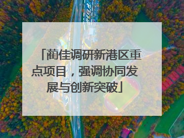 蔺佳调研新港区重点项目，强调协同发展与创新突破