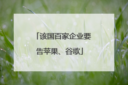 该国百家企业要告苹果、谷歌