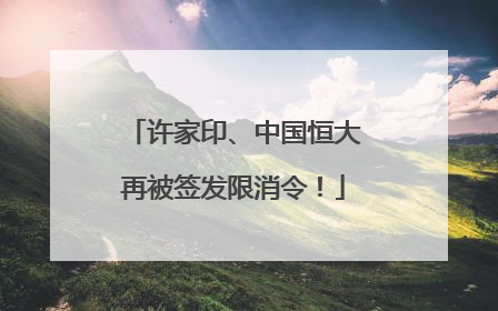许家印、中国恒大再被签发限消令！