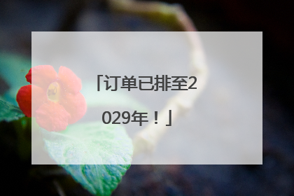 订单已排至2029年！