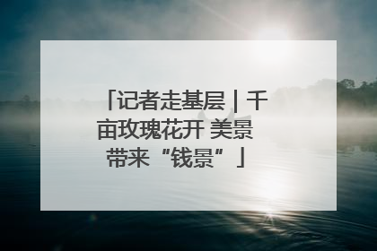 记者走基层｜千亩玫瑰花开 美景带来“钱景”