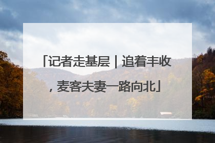 记者走基层｜追着丰收，麦客夫妻一路向北