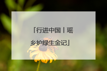 行进中国丨瑶乡护绿生金记