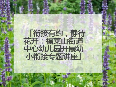 衔接有约，静待花开：福莱山街道中心幼儿园开展幼小衔接专题讲座