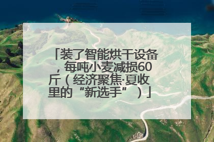 装了智能烘干设备，每吨小麦减损60斤（经济聚焦·夏收里的“新选手”）