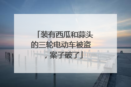 装有西瓜和蒜头的三轮电动车被盗，案子破了
