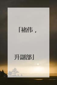 褚伟，升副部