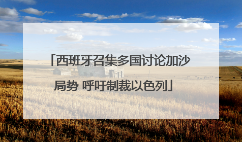 西班牙召集多国讨论加沙局势 呼吁制裁以色列