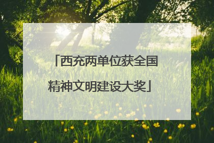 西充两单位获全国精神文明建设大奖