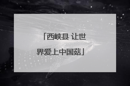西峡县 让世界爱上中国菇