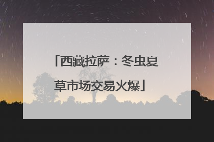 西藏拉萨：冬虫夏草市场交易火爆