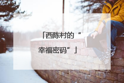 西陈村的“幸福密码”