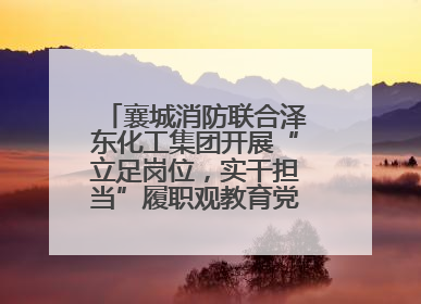 襄城消防联合泽东化工集团开展“立足岗位，实干担当”履职观教育党建联学活动