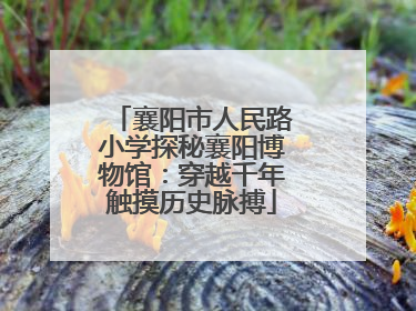 襄阳市人民路小学探秘襄阳博物馆：穿越千年触摸历史脉搏