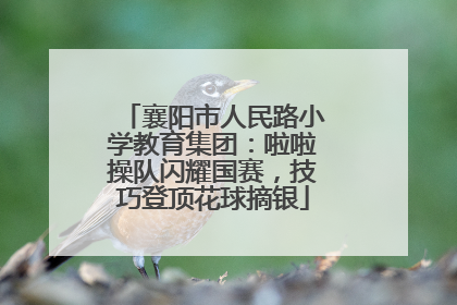 襄阳市人民路小学教育集团：啦啦操队闪耀国赛，技巧登顶花球摘银