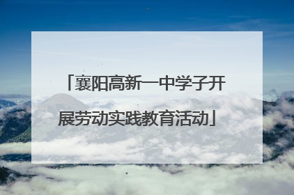 襄阳高新一中学子开展劳动实践教育活动