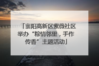 襄阳高新区紫薇社区举办“粽情邻里，手作传香”主题活动