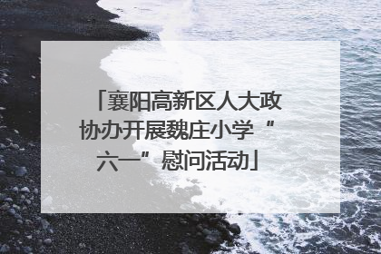 襄阳高新区人大政协办开展魏庄小学“六一”慰问活动