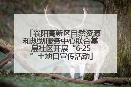 襄阳高新区自然资源和规划服务中心联合基层社区开展“6·25”土地日宣传活动