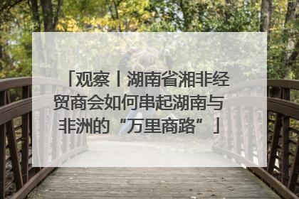 观察丨湖南省湘非经贸商会如何串起湖南与非洲的“万里商路”