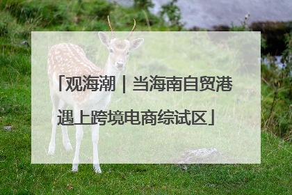 观海潮｜当海南自贸港遇上跨境电商综试区